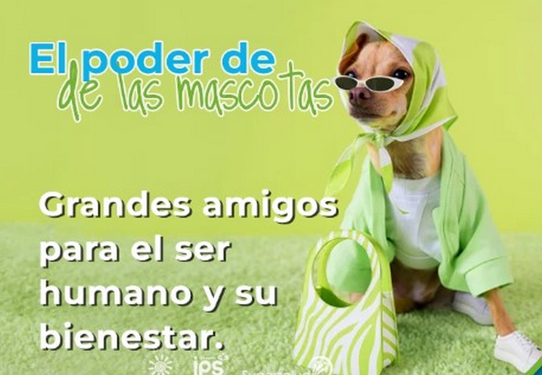 El poder de las mascotas