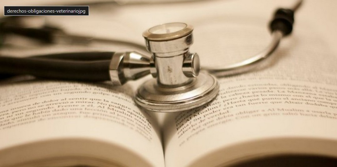 Regulación de actividad médica veterinaria