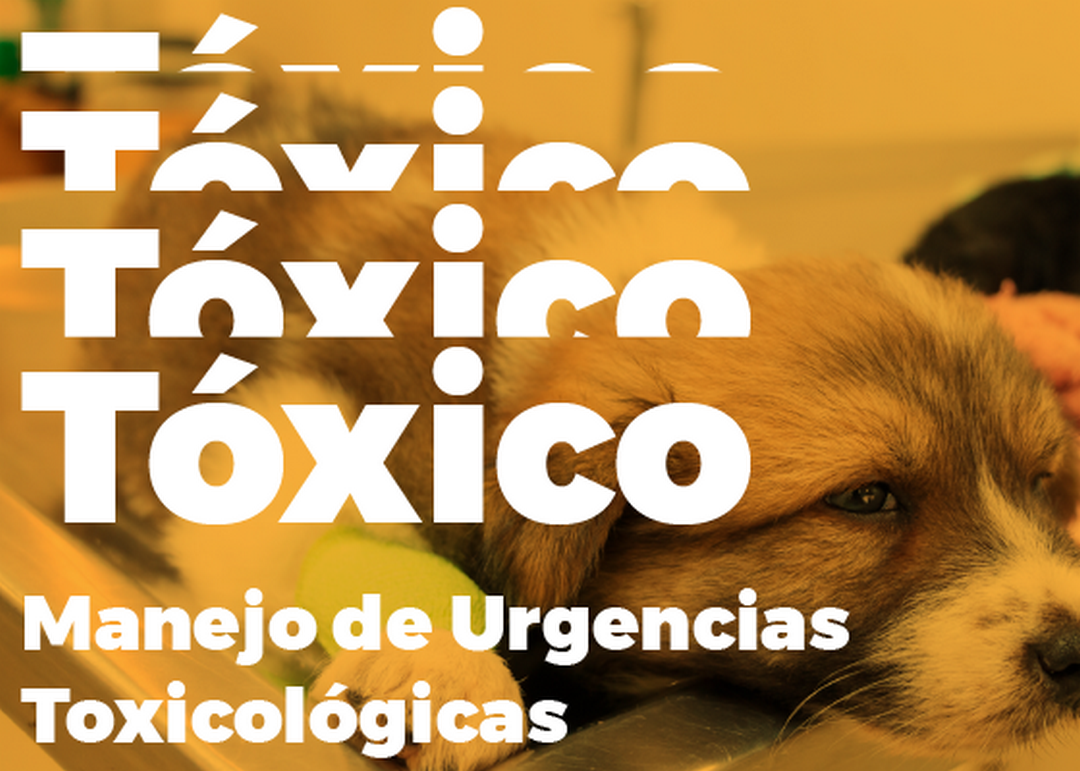 URGENCIAS TOXICOLÓGICAS
